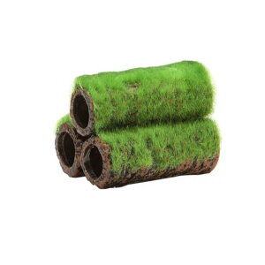 GEX Șa̒ y 1 (STCY)