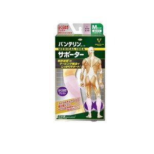 oeR[T|[^[ ӂ͂AVXg ӂMTCY 2 (CgsN)