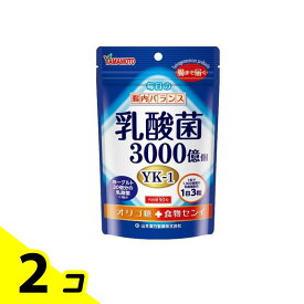 山本漢方 乳酸菌粒 90粒 2個セット