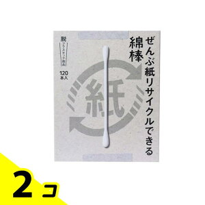 ぜんぶ紙リサイクルできる綿棒 120本 2個セット