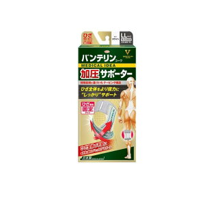 oeR[T|[^[ Ђp 傫LLTCY 1 (zCg)