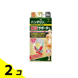 oeR[T|[^[ Ђp 傫LLTCY 1 (zCg) 2Zbg