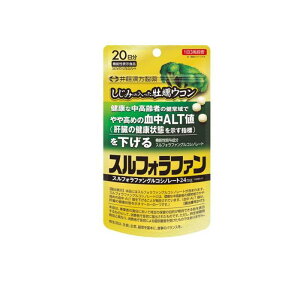 䓡 ݂̓yER XtHt@ 60 (20)
