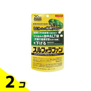 䓡 ݂̓yER XtHt@ 60 (20) 2Zbg
