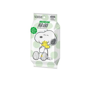 �X�R�b�e�B �E�F�b�g�e�B�V���[ ���� �m���A���R�[���^�C�v �X�k�[�s�[ 30����