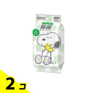 �X�R�b�e�B �E�F�b�g�e�B�V���[ ���� �m���A���R�[���^�C�v �X�k�[�s�[ 30���� 2�Z�b�g