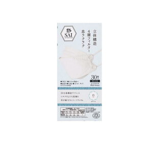  SAI 3DJ[}XN ӂTCY  1 ( zCg)