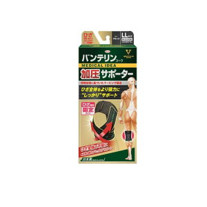 oeR[T|[^[ Ђp 傫LLTCY 1 (ubN)