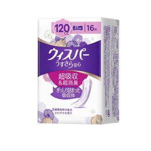 EBXp[S S120cc ₩ȍ 16