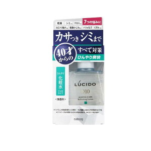 LUCIDO(V[h) pg[^PAЂ艻ϐ 110mL