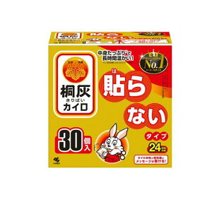 ˊDJC \Ȃ^Cv M[ 24Ԏ 30