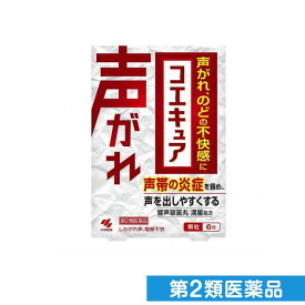 第2類医薬品 コエキュア (響声破笛丸) 6包