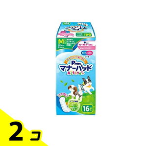 P.one j̎q&̎qp}i[pbhActive p MTCY 16 2Zbg