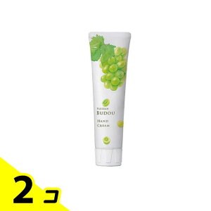 xmRԂǂ nhN[ 75g 2Zbg