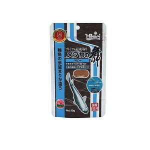 L[ Hikari(qJ) _J̕ xr[ 40g