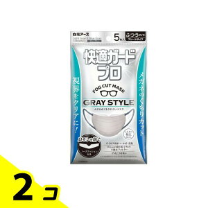 ���K�K�[�h�v�� �}�X�N �v���[�c�^�C�v �ӂ��T�C�Y �O���[�X�^�C�� 5���� 2�Z�b�g