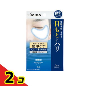 LUCIDO(V[h) ڂƏWPApbN 5Zbg (10) 2Zbg
