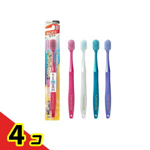 GrX v~APA̔E6񃌃M[ W62 ӂ 1{ (B-3607M) 4Zbg