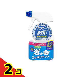 ÃXbLfg }EXs[XEꎕp { 300mL 2Zbg