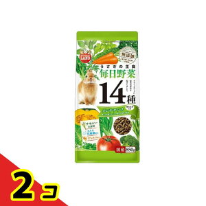 ~j}h ̎H 14탁eiX 850g 2Zbg