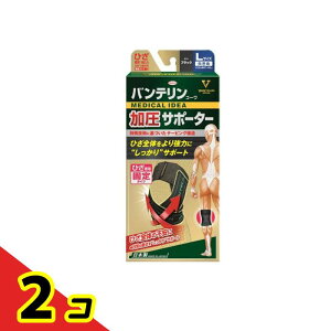 oeR[T|[^[ Ђp 傫LTCY 1 (ubN) 2Zbg