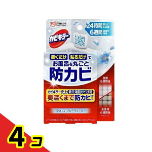 JrL[ CɒuhJrWF ₳t[̍ 8mL× 1 ({) 4Zbg