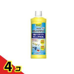 Tetra(eg) 키oNeA MK55 500mL 4Zbg