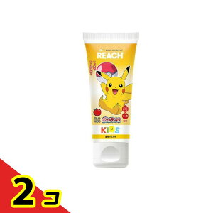 REACH [`LbY pn~KL 񂲂̍ 60g 2Zbg