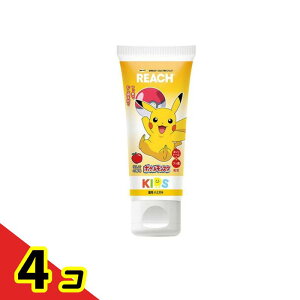 REACH [`LbY pn~KL 񂲂̍ 60g 4Zbg