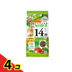 ~j}h ̎H 14탁eiX 850g 4Zbg