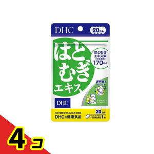 DHČNHi ͂ƂނGLX 20 20 4Zbg