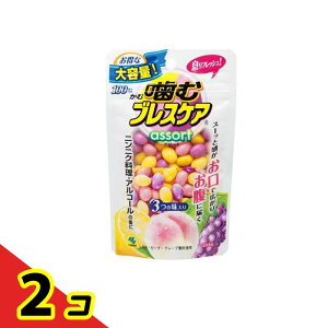 噛むブレスケア パウチ アソート(3つの味入り) 100粒 2個セット