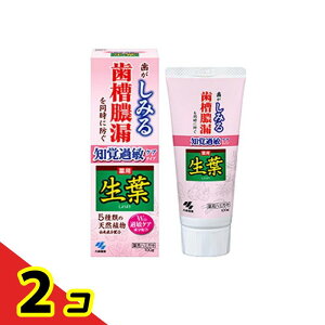 t moߕqPA^Cv 100g 2Zbg