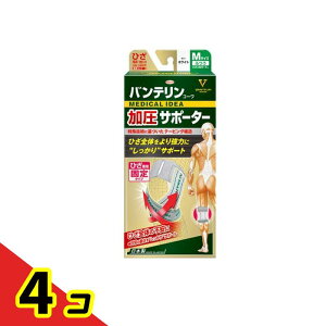 oeR[T|[^[ Ђp ӂMTCY 1 (zCg) 4Zbg