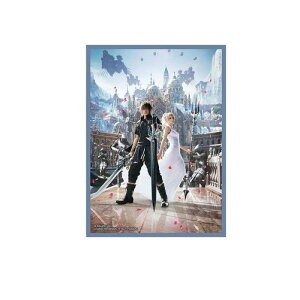 FINAL FANTASY t@Cit@^W[ J[hX[u FFCSS-09 mNeBX 100