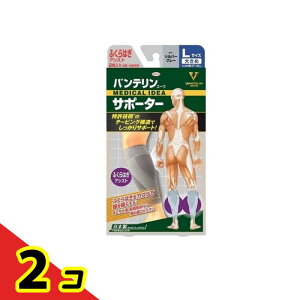 oeR[T|[^[ ӂ͂AVXg 傫LTCY 2 (Vo[O[) 2Zbg