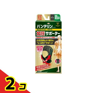 oeR[T|[^[ Ђp ӂMTCY 1 (ubN) 2Zbg