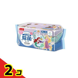 ���b�N ���ۃV�[�g �f�B�Y�j�[ �v�����Z�X 60��× 3�p�b�N 2�Z�b�g