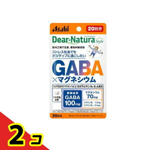 �f�B�A�i�`�����X�^�C�� GABA×�}�O�l�V�E�� 20���� 40���� 2�Z�b�g