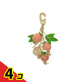三晃商会 ナチュラルハンガー フルーツ 1個入 4個セット