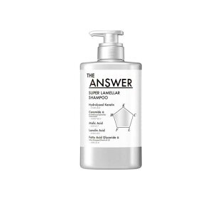 THE ANSWER �X�[�p�[�������V�����v�[ 400ml