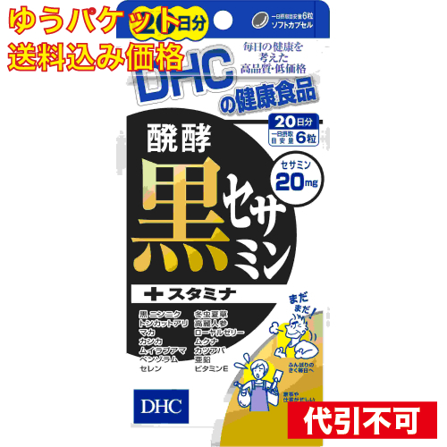 DHC 醗酵黒セサミン＋スタミナ ２０日 4511413403389