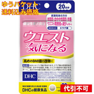 y䂤pPbg݁zDHC EGXgCɂȂ 20 4511413406267