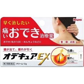 【第2類医薬品】オデキュアEX 12g