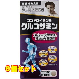 株式会社野口医学研究所 コンドロイチン＆グルコサミン 300粒×6個