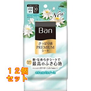 Ban v~AV[g EH[^[[̍ 30×12