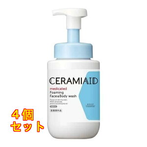 Z~GCh p tFCX{fBEHbV { 480ml×4
