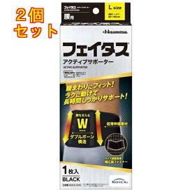 久光製薬 フェイタスアクティブサポーター 腰用 Lサイズ 1枚×2個