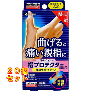 j`o ogEB wveN^[ewp FT|[ge[v M`LTCY 6×20