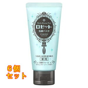 [bg pX^ ANlNA 120g×6